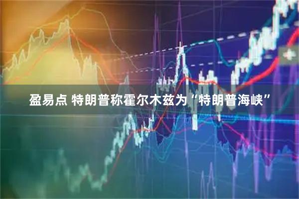 盈易点 特朗普称霍尔木兹为“特朗普海峡”