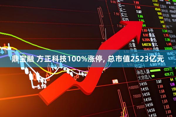 鼎宝融 方正科技100%涨停, 总市值2523亿元