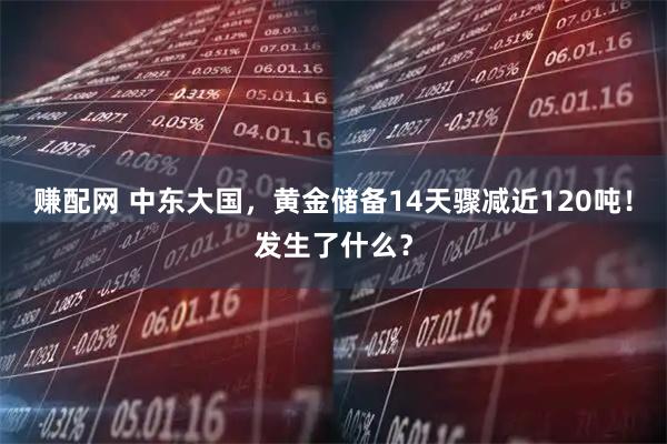 赚配网 中东大国，黄金储备14天骤减近120吨！发生了什么？