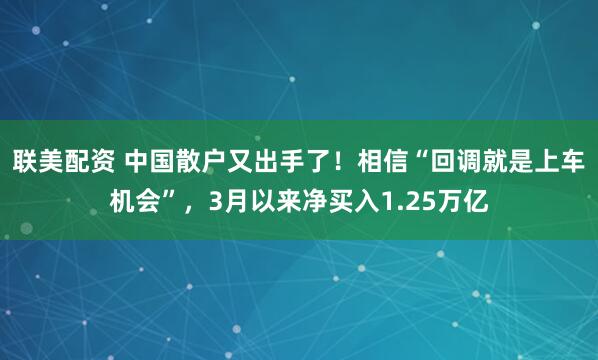 联美配资 中国散户又出手了！相信“回调就是上车机会”，3月以来净买入1.25万亿