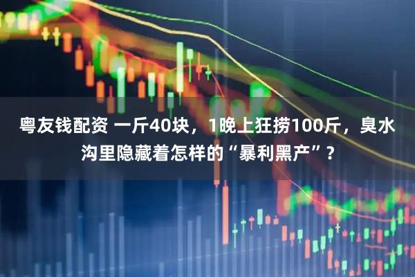 粤友钱配资 一斤40块，1晚上狂捞100斤，臭水沟里隐藏着怎样的“暴利黑产”？