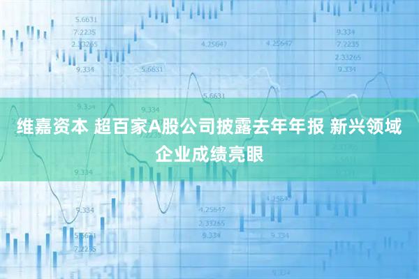 维嘉资本 超百家A股公司披露去年年报 新兴领域企业成绩亮眼